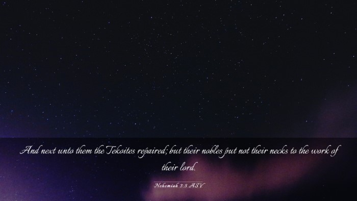 Picture 03 - Nehemiah 3:5 ASV Desktop Wallpaper - And next unto them the Tekoites repaired; but - Desktop Bible Verse Wallpaper