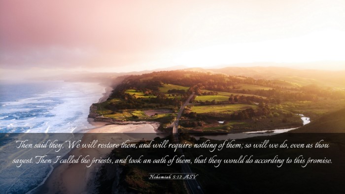 Picture 03 - Nehemiah 5:12 ASV Desktop Wallpaper - Then said they, We will restore them, and will - Desktop Bible Verse Wallpaper