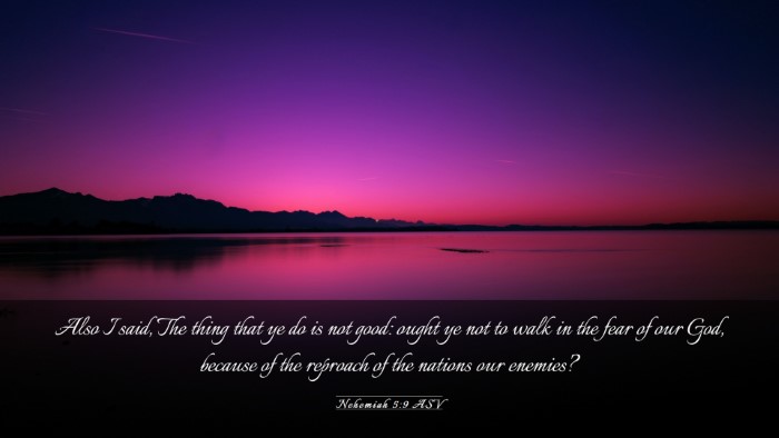 Picture 03 - Nehemiah 5:9 ASV Desktop Wallpaper - Also I said, The thing that ye do is not good: - Desktop Bible Verse Wallpaper
