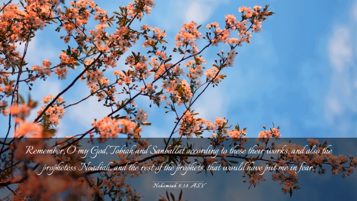 Picture 03 - Nehemiah 6:14 ASV Desktop Wallpaper - Remember, O my God, Tobiah and Sanballat - Desktop Bible Verse Wallpaper