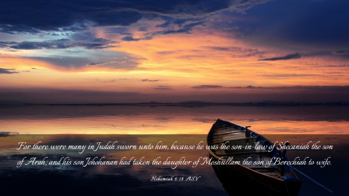 Picture 03 - Nehemiah 6:18 ASV Desktop Wallpaper - For there were many in Judah sworn unto him, - Desktop Bible Verse Wallpaper
