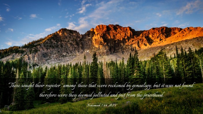 Picture 03 - Nehemiah 7:64 ASV Desktop Wallpaper - These sought their register `among' those that - Desktop Bible Verse Wallpaper