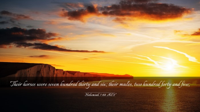 Picture 03 - Nehemiah 7:68 ASV Desktop Wallpaper - Their horses were seven hundred thirty and six; - Desktop Bible Verse Wallpaper