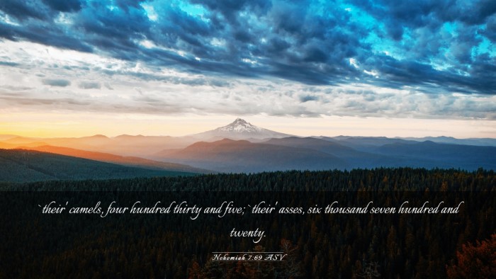 Picture 03 - Nehemiah 7:69 ASV Desktop Wallpaper - `their' camels, four hundred thirty and five; - Desktop Bible Verse Wallpaper