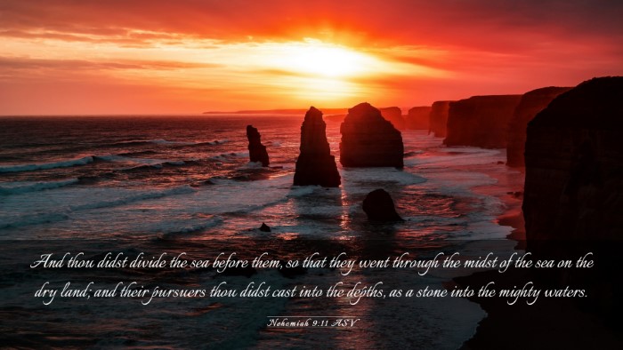 Picture 03 - Nehemiah 9:11 ASV Desktop Wallpaper - And thou didst divide the sea before them, so - Desktop Bible Verse Wallpaper