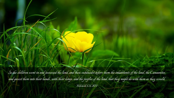 Picture 03 - Nehemiah 9:24 ASV Desktop Wallpaper - So the children went in and possessed the land, - Desktop Bible Verse Wallpaper