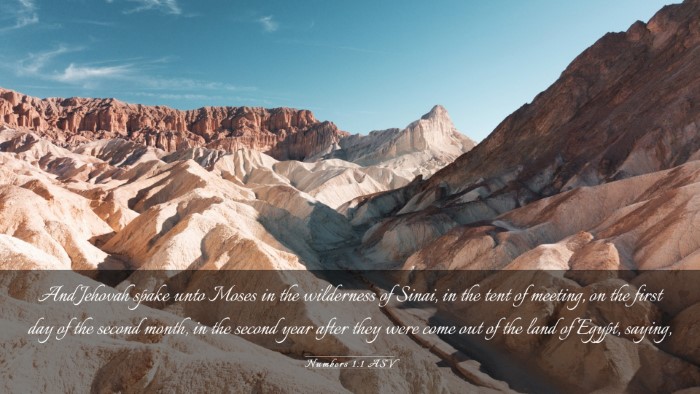 Picture 03 - Numbers 1:1 ASV Desktop Wallpaper - And Jehovah spake unto Moses in the wilderness of - Desktop Bible Verse Wallpaper