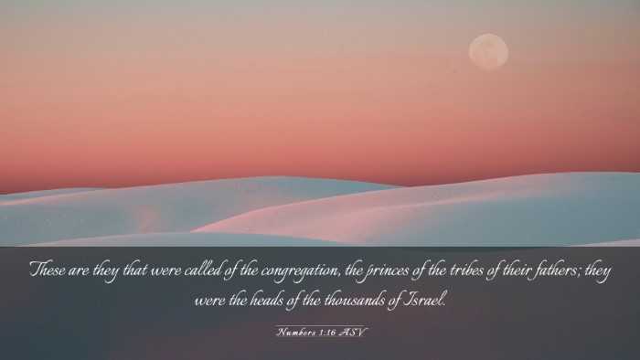 Picture 03 - Numbers 1:16 ASV Desktop Wallpaper - These are they that were called of the - Desktop Bible Verse Wallpaper