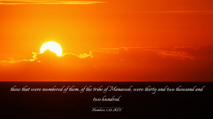 Picture 03 - Numbers 1:35 ASV Desktop Wallpaper - those that were numbered of them, of the tribe of - Desktop Bible Verse Wallpaper