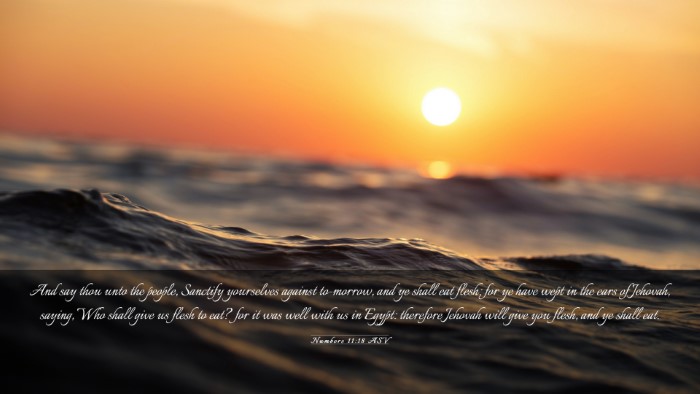 Picture 03 - Numbers 11:18 ASV Desktop Wallpaper - And say thou unto the people, Sanctify yourselves - Desktop Bible Verse Wallpaper