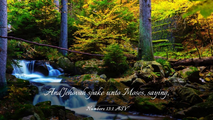 Picture 03 - Numbers 13:1 ASV Desktop Wallpaper - And Jehovah spake unto Moses, - Desktop Bible Verse Wallpaper
