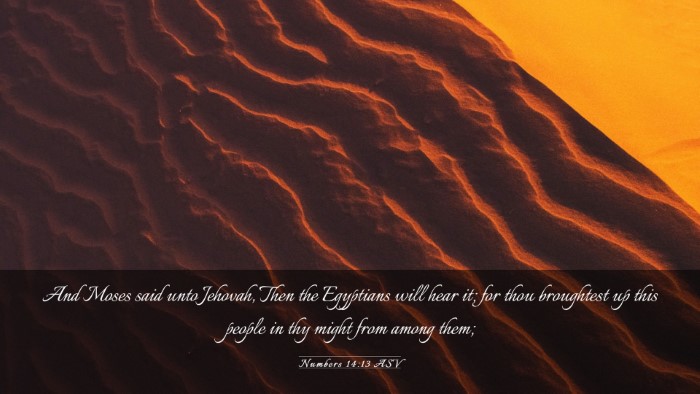 Picture 03 - Numbers 14:13 ASV Desktop Wallpaper - And Moses said unto Jehovah, Then the Egyptians - Desktop Bible Verse Wallpaper
