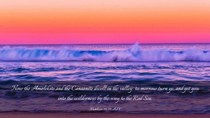 Picture 03 - Numbers 14:25 ASV Desktop Wallpaper - Now the Amalekite and the Canaanite dwell in the - Desktop Bible Verse Wallpaper