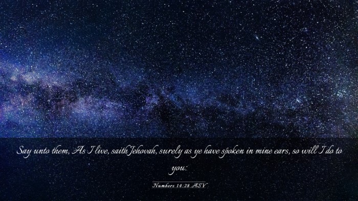 Picture 03 - Numbers 14:28 ASV Desktop Wallpaper - Say unto them, As I live, saith Jehovah, surely - Desktop Bible Verse Wallpaper