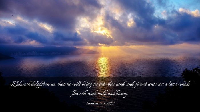 Picture 03 - Numbers 14:8 ASV Desktop Wallpaper - If Jehovah delight in us, then he will bring us - Desktop Bible Verse Wallpaper