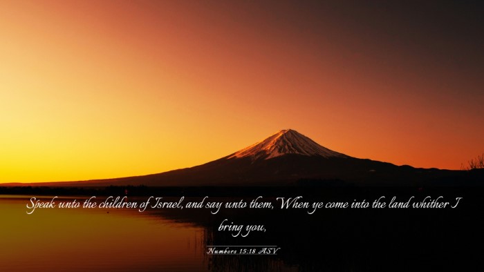 Picture 03 - Numbers 15:18 ASV Desktop Wallpaper - Speak unto the children of Israel, and say unto - Desktop Bible Verse Wallpaper