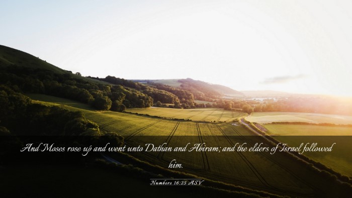 Picture 03 - Numbers 16:25 ASV Desktop Wallpaper - And Moses rose up and went unto Dathan and - Desktop Bible Verse Wallpaper