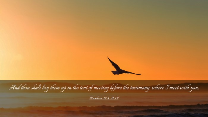 Picture 03 - Numbers 17:4 ASV Desktop Wallpaper - And thou shalt lay them up in the tent of meeting - Desktop Bible Verse Wallpaper