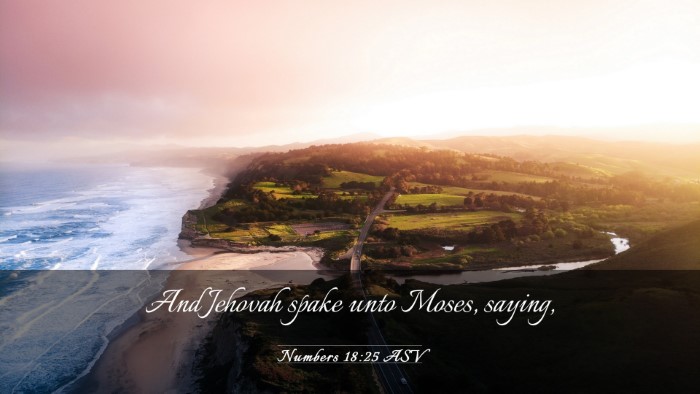 Picture 03 - Numbers 18:25 ASV Desktop Wallpaper - And Jehovah spake unto Moses, - Desktop Bible Verse Wallpaper