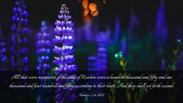 Picture 03 - Numbers 2:16 ASV Desktop Wallpaper - All that were numbered of the camp of Reuben were - Desktop Bible Verse Wallpaper