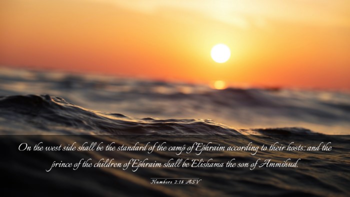 Picture 03 - Numbers 2:18 ASV Desktop Wallpaper - On the west side shall be the standard of the - Desktop Bible Verse Wallpaper