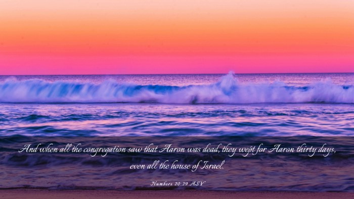 Picture 03 - Numbers 20:29 ASV Desktop Wallpaper - And when all the congregation saw that Aaron was - Desktop Bible Verse Wallpaper