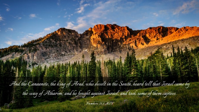Picture 03 - Numbers 21:1 ASV Desktop Wallpaper - And the Canaanite, the king of Arad, who dwelt in - Desktop Bible Verse Wallpaper