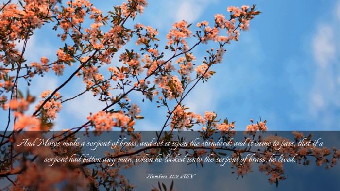Picture 03 - Numbers 21:9 ASV Desktop Wallpaper - And Moses made a serpent of brass, and set it - Desktop Bible Verse Wallpaper