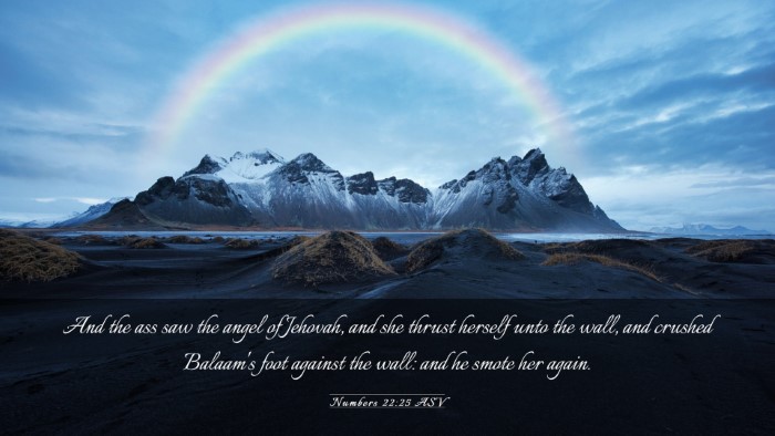 Picture 03 - Numbers 22:25 ASV Desktop Wallpaper - And the ass saw the angel of Jehovah, and she - Desktop Bible Verse Wallpaper