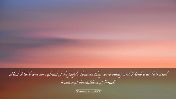 Picture 03 - Numbers 22:3 ASV Desktop Wallpaper - And Moab was sore afraid of the people, because - Desktop Bible Verse Wallpaper