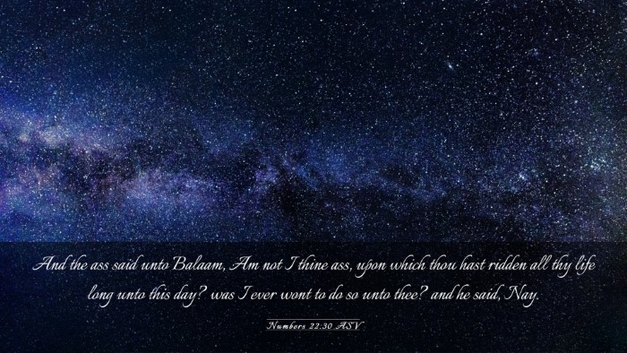 Picture 03 - Numbers 22:30 ASV Desktop Wallpaper - And the ass said unto Balaam, Am not I thine ass, - Desktop Bible Verse Wallpaper
