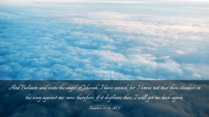 Picture 03 - Numbers 22:34 ASV Desktop Wallpaper - And Balaam said unto the angel of Jehovah, I have - Desktop Bible Verse Wallpaper