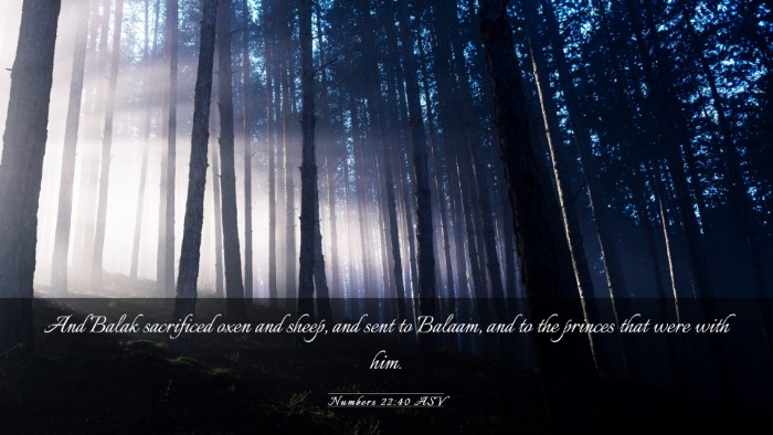 Picture 03 - Numbers 22:40 ASV Desktop Wallpaper - And Balak sacrificed oxen and sheep, and sent to - Desktop Bible Verse Wallpaper