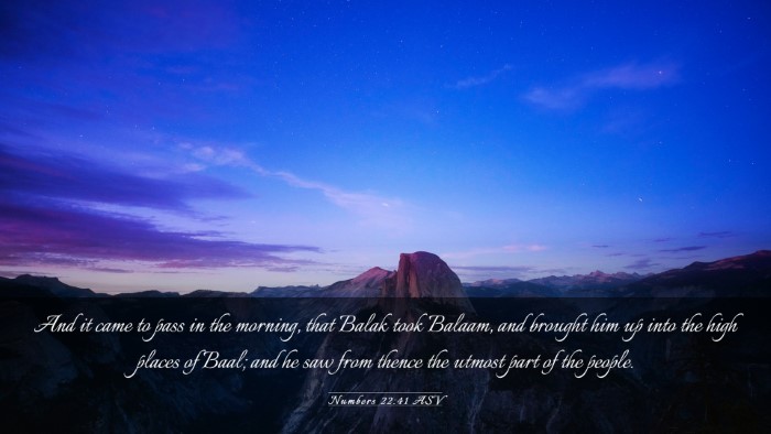 Picture 03 - Numbers 22:41 ASV Desktop Wallpaper - And it came to pass in the morning, that Balak - Desktop Bible Verse Wallpaper