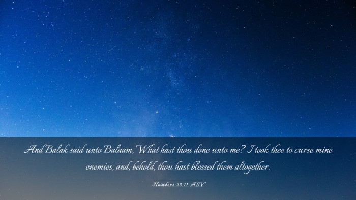 Picture 03 - Numbers 23:11 ASV Desktop Wallpaper - And Balak said unto Balaam, What hast thou done - Desktop Bible Verse Wallpaper