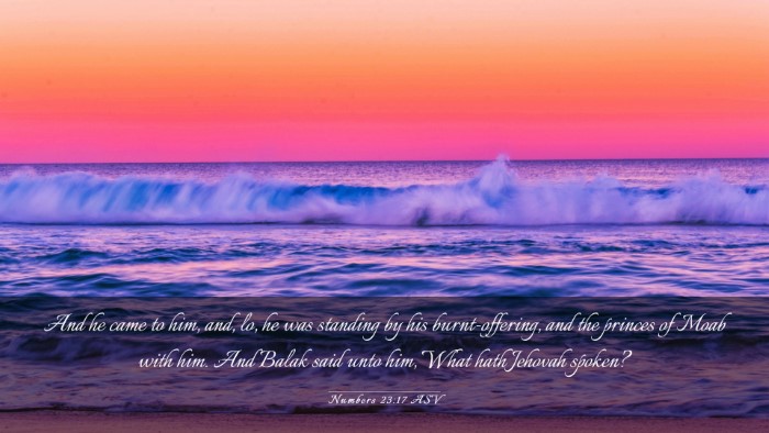 Picture 03 - Numbers 23:17 ASV Desktop Wallpaper - And he came to him, and, lo, he was standing by - Desktop Bible Verse Wallpaper