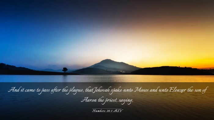 Picture 03 - Numbers 26:1 ASV Desktop Wallpaper - And it came to pass after the plague, that - Desktop Bible Verse Wallpaper