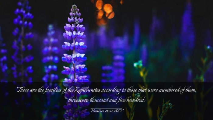 Picture 03 - Numbers 26:27 ASV Desktop Wallpaper - These are the families of the Zebulunites - Desktop Bible Verse Wallpaper
