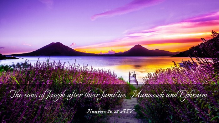 Picture 03 - Numbers 26:28 ASV Desktop Wallpaper - The sons of Joseph after their families: Manasseh - Desktop Bible Verse Wallpaper