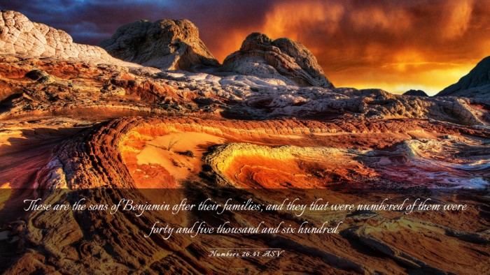 Picture 03 - Numbers 26:41 ASV Desktop Wallpaper - These are the sons of Benjamin after their - Desktop Bible Verse Wallpaper