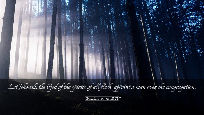 Picture 03 - Numbers 27:16 ASV Desktop Wallpaper - Let Jehovah, the God of the spirits of all flesh, - Desktop Bible Verse Wallpaper