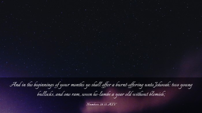 Picture 03 - Numbers 28:11 ASV Desktop Wallpaper - And in the beginnings of your months ye shall - Desktop Bible Verse Wallpaper