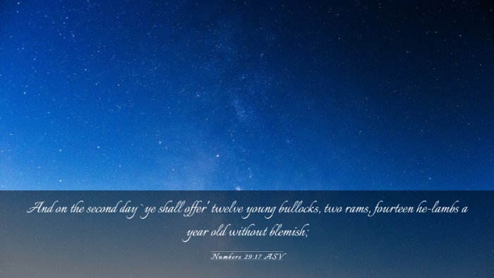 Picture 03 - Numbers 29:17 ASV Desktop Wallpaper - And on the second day `ye shall offer' twelve - Desktop Bible Verse Wallpaper