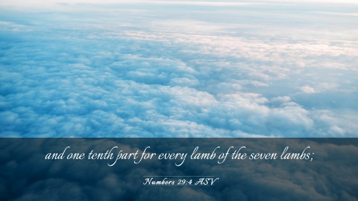 Picture 03 - Numbers 29:4 ASV Desktop Wallpaper - and one tenth part for every lamb of the seven - Desktop Bible Verse Wallpaper