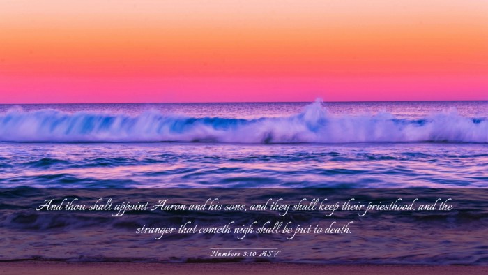 Picture 03 - Numbers 3:10 ASV Desktop Wallpaper - And thou shalt appoint Aaron and his sons, and - Desktop Bible Verse Wallpaper