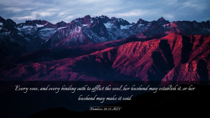 Picture 03 - Numbers 30:13 ASV Desktop Wallpaper - Every vow, and every binding oath to afflict the - Desktop Bible Verse Wallpaper