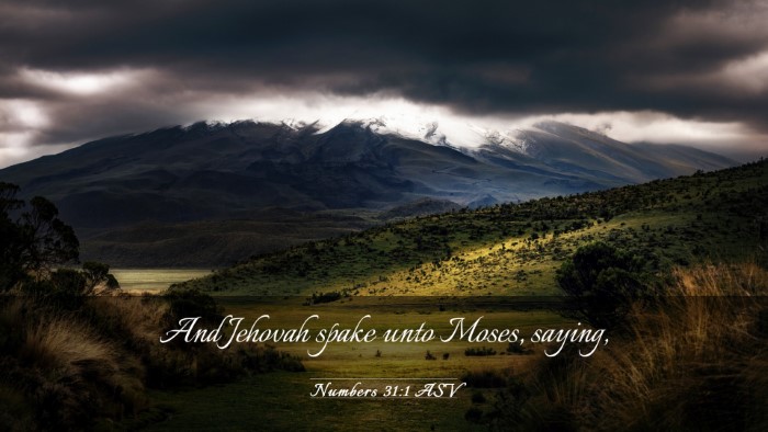 Picture 03 - Numbers 31:1 ASV Desktop Wallpaper - And Jehovah spake unto Moses, - Desktop Bible Verse Wallpaper