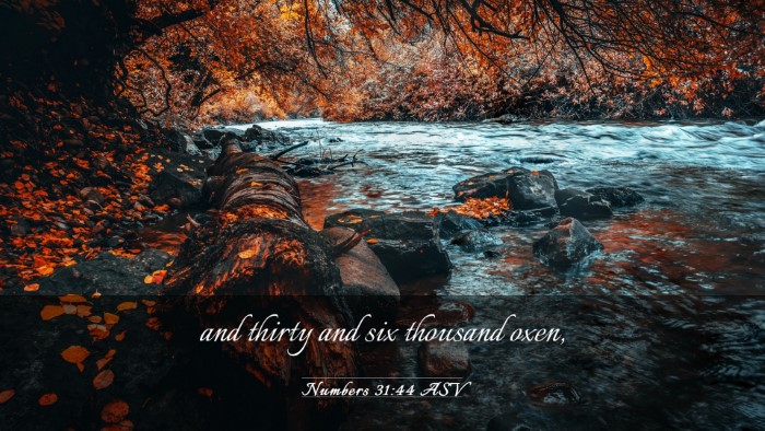 Picture 03 - Numbers 31:44 ASV Desktop Wallpaper - and thirty and six thousand - Desktop Bible Verse Wallpaper