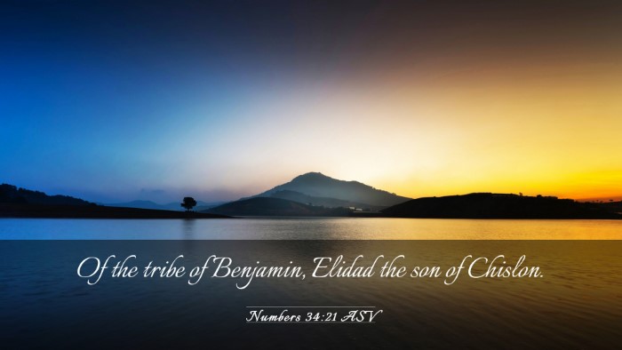 Picture 03 - Numbers 34:21 ASV Desktop Wallpaper - Of the tribe of Benjamin, Elidad the son of - Desktop Bible Verse Wallpaper