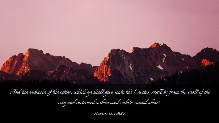 Picture 03 - Numbers 35:4 ASV Desktop Wallpaper - And the suburbs of the cities, which ye shall - Desktop Bible Verse Wallpaper